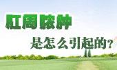 肛周脓肿是怎么引起的