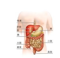 结肠炎危害